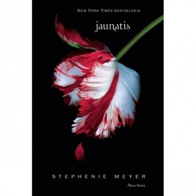 Stephenie Meyer. Jaunatis