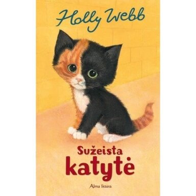 Sužeista katytė. Holly Webb