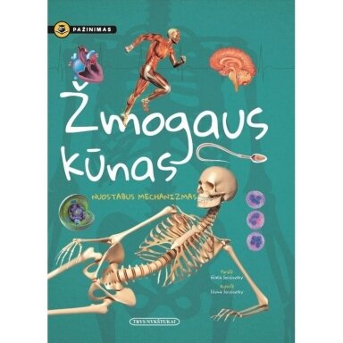Žmogaus kūnas